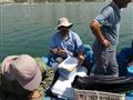 دور دهم نمونه برداری از دریاچه چیتگر بمنظور حفظ کیفیت آب توسط تیم تحقیقاتی بخش اکولوژی پژوهشکده آبزی پروری آبهای داخلی کشور انجام شد.